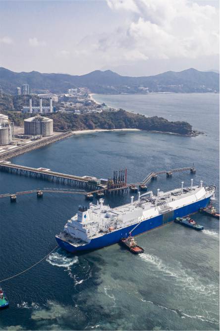 峰尚与广东大鹏液化天然气达成品牌合作